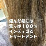 その素晴らしさの虜になる 傷んだ髪に　葉っぱ１００％　インディゴトリートメント