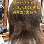 切っただけで　ハネハネくせ毛は落ち着くのか？