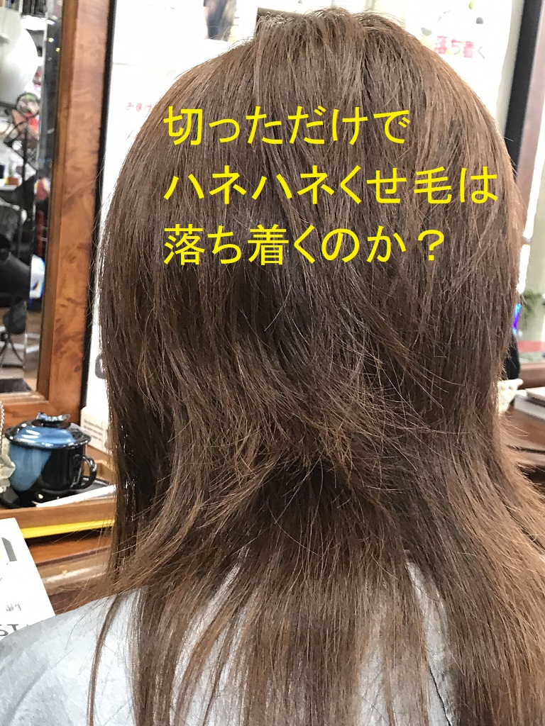 切っただけで　ハネハネくせ毛は落ち着くのか？