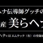 高級トリートメントと安物の違い的感覚談　美らヘナ®レポート　四国初上陸(多分)　