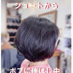 ＃ショートから　＃ボブに伸ばし中　＃量感調整カット　＃質感調整カット　＃伸ばしたいときのカット