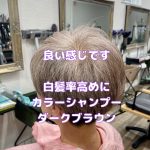 ＃脱白髪染め　＃カラーシャンプー　＃ダークブラウン　＃ピンクブラウン　＃ベージュ　＃グレーヘア