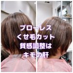 ＃ご新規様　＃スキバサミ事故　＃多毛あるある　＃削ぎすぎ　＃ハネて困ってる　＃パサパサする