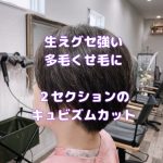 ＃キュビズムカット　＃ストレスフリーなカット　＃スキバサミ使わない　＃くせ毛カット　＃生えぐせ