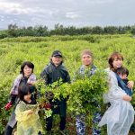 ＃美らヘナ千本畑　＃美らヘナファクトリー　＃美ら藍ファクトリー　＃ウソ偽りのないコダワリ