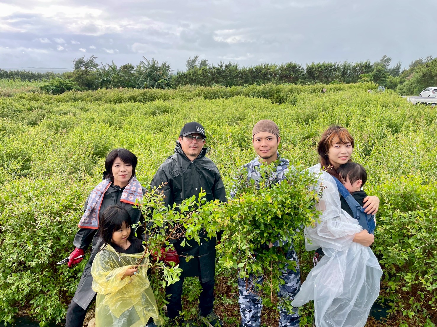 ＃美らヘナ千本畑　＃美らヘナファクトリー　＃美ら藍ファクトリー　＃ウソ偽りのないコダワリ